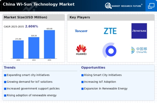 China Wi Sun Technology Market Infographic