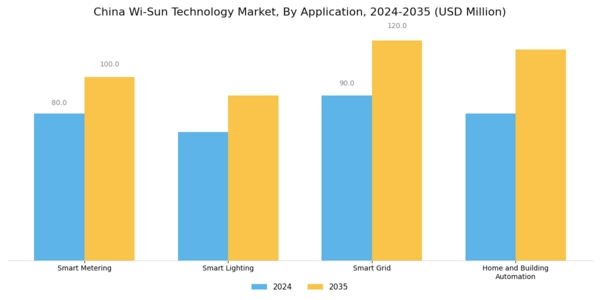 China Wi Sun Technology Market Segment Image 0