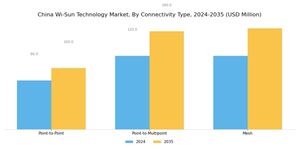 China Wi Sun Technology Market Segment Image 1