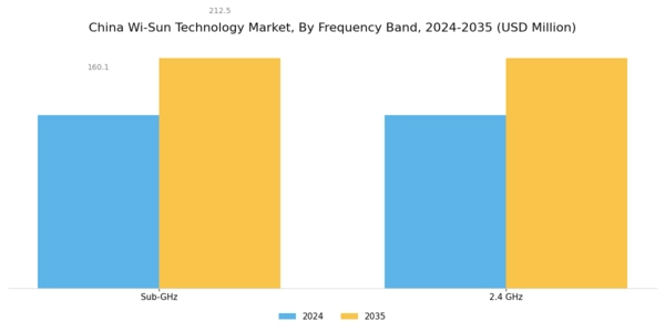 China Wi Sun Technology Market Segment Image 3