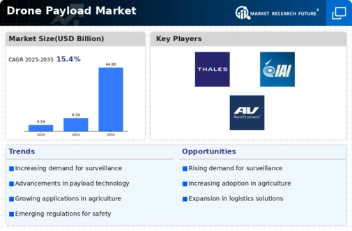 Drone Payload Market Infographic