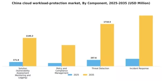 China Cloud Workload Protection Market Segment Image 0