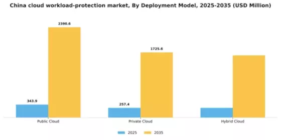 China Cloud Workload Protection Market Segment Image 1