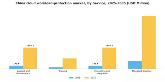 China Cloud Workload Protection Market Segment Image 3