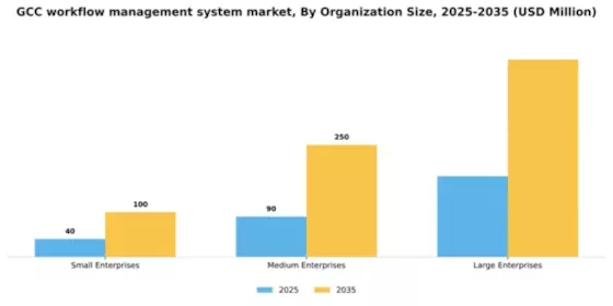 GCC Workflow Management System Market Segment Image 3