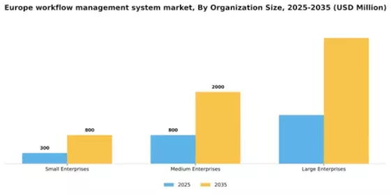 Europe Workflow Management System Market Segment Image 3