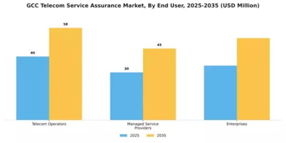 GCC Telecom Service Assurance Market Segment Image 2