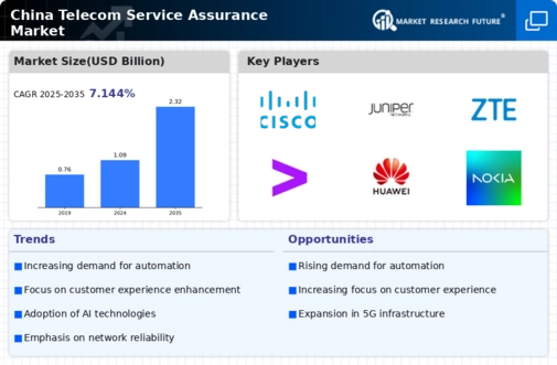China Telecom Service Assurance Market Infographic