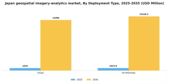 Japan Geospatial Imagery Analytics Market Segment Image 1