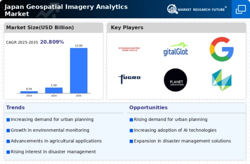 Japan Geospatial Imagery Analytics Market Infographic