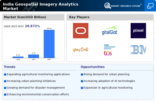 India Geospatial Imagery Analytics Market Infographic