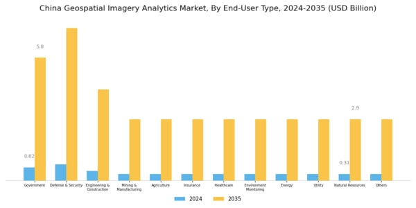 China Geospatial Imagery Analytics Market Segment Image 2