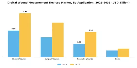 Digital Wound Measurement Devices Market Segment Image 0