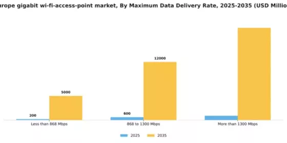 Europe Gigabit Wi Fi Access Point Market Segment Image 2