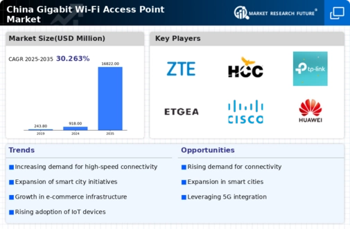 China Gigabit Wi Fi Access Point Market Infographic