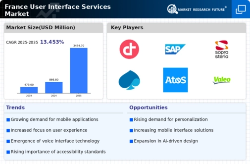 France User Interface Services Market Infographic