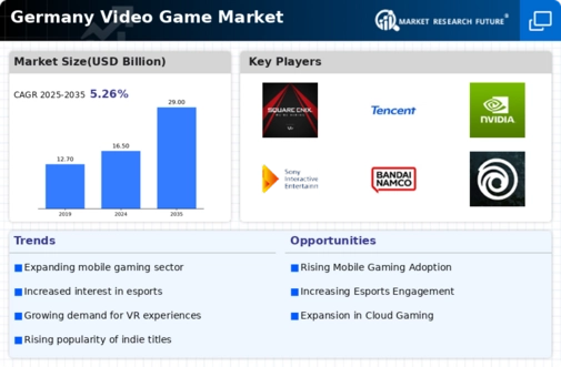 Germany Video Game Market Infographic