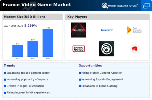 France Video Game Market Infographic