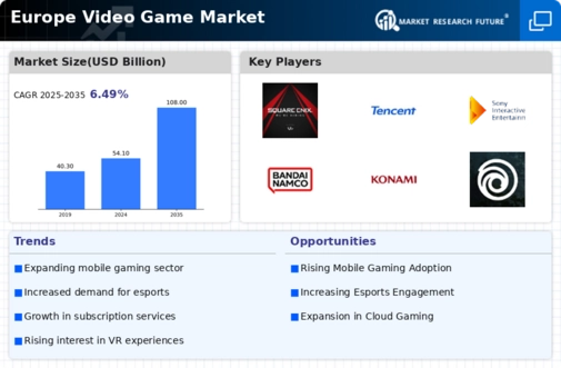 Europe Video Game Market Infographic