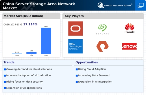 China Server Storage Area Network Market Infographic