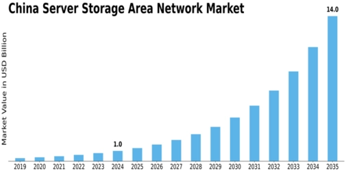 China Server Storage Area Network Market Size