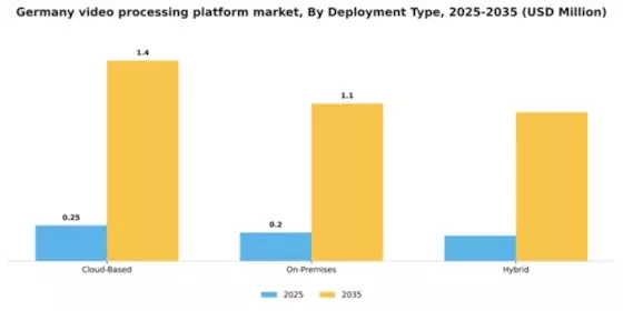 Germany Video Processing Platform Market Segment Image 1