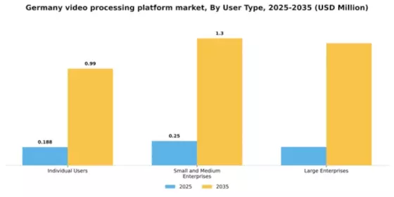 Germany Video Processing Platform Market Segment Image 4