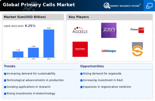 Primary Cells Market Infographic