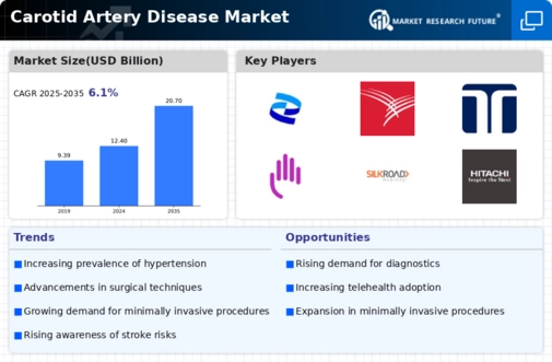 Carotid Artery Disease Market Infographic