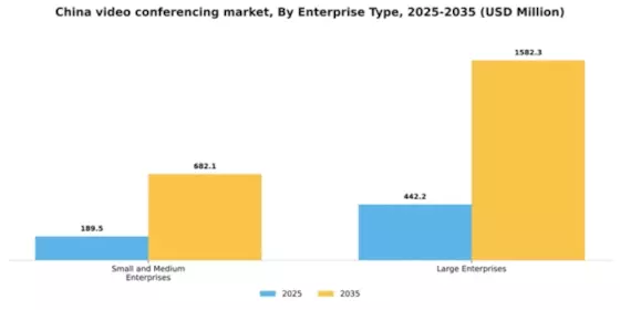 China Video Conferencing Market Segment Image 4