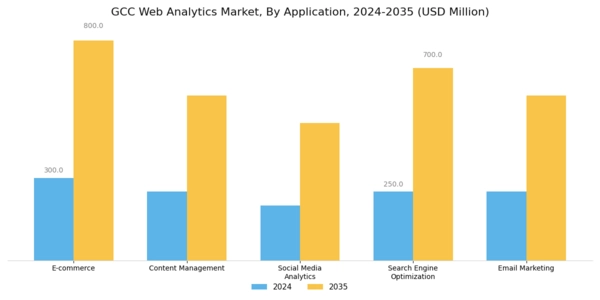 GCC Web Analytics Market Segment Image 0