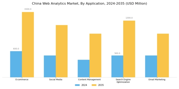 China Web Analytics Market Segment Image 0