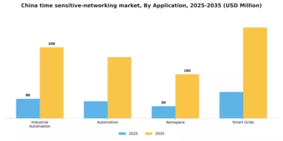 China Time Sensitive Networking Market Segment Image 0
