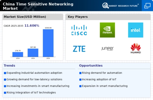 China Time Sensitive Networking Market Infographic