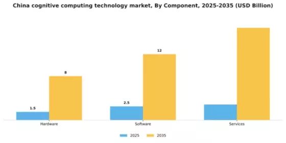 China Cognitive Computing Technology Market Segment Image 1