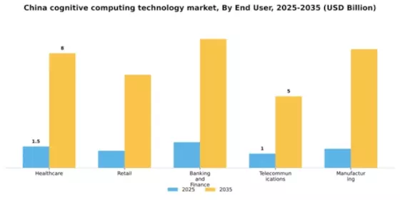 China Cognitive Computing Technology Market Segment Image 3