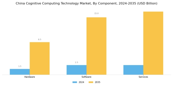 China Cognitive Computing Technology Market Segment Image 2