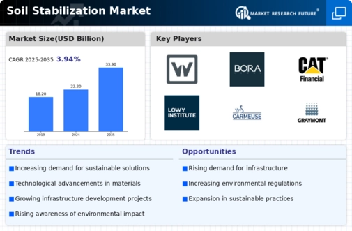 Soil Stabilization Market Infographic