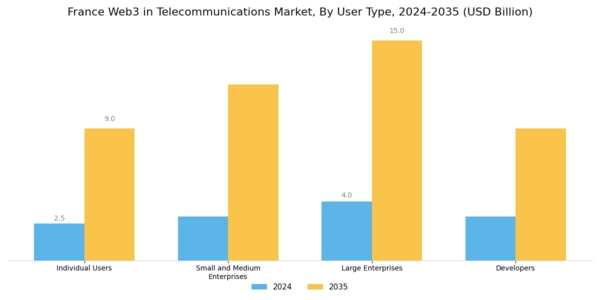 France Web3 In Telecommunications Market Segment Image 1