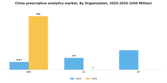 China Prescriptive Analytics Market Segment Image 4