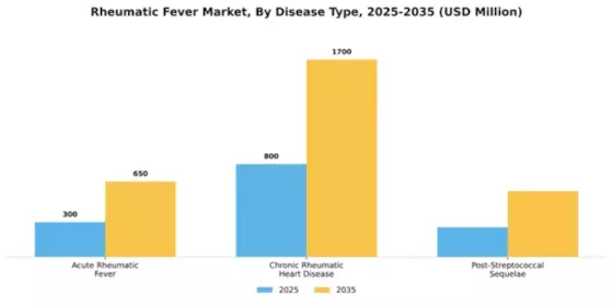 Rheumatic Fever Market Segment Image 2