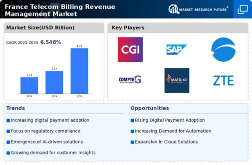 France Telecom Billing Revenue Management Market Infographic