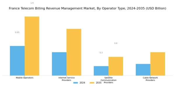 France Telecom Billing Revenue Management Market Segment Image 1