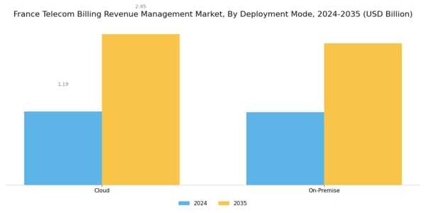 France Telecom Billing Revenue Management Market Segment Image 2