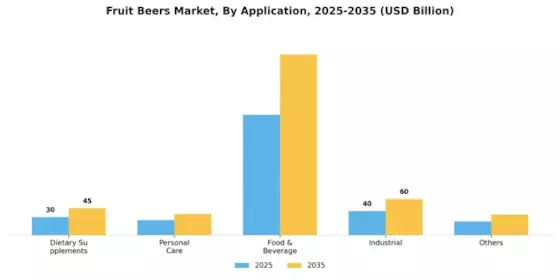 Fruit Beer Market Segment Image 2