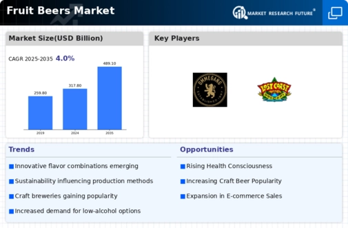 Fruit Beer Market Infographic