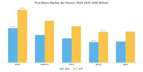 Fruit Beer Market Segment Image 0