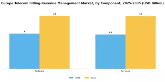 Europe Telecom Billing Revenue Management Market Segment Image 0