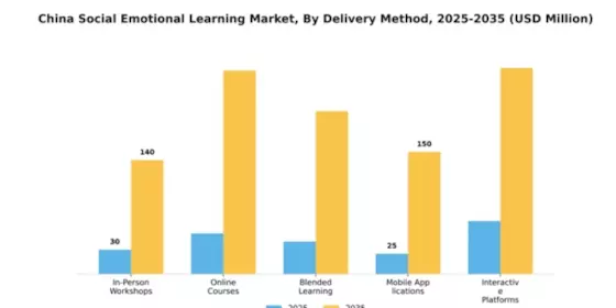 China Social Emotional Learning Market Segment Image 2