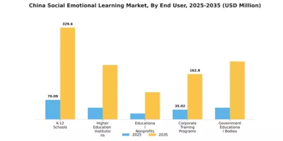 China Social Emotional Learning Market Segment Image 3